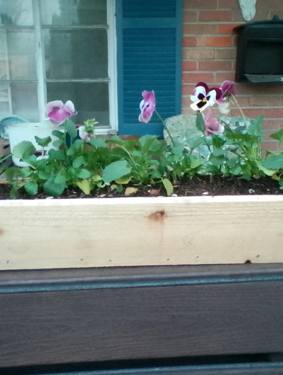 Stands and Stairs Construction Other - LAST-MINUTE MOTHER’S DAY GIFT IDEA